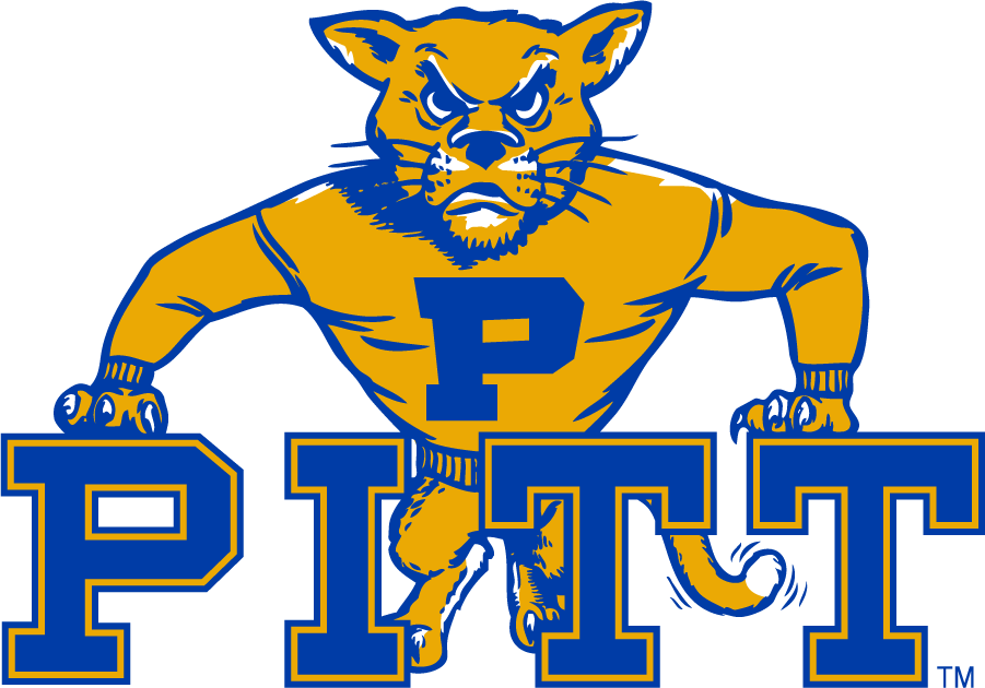 Pittsburgh Panthers 1980-1989 Alternate Logo diy DTF decal sticker